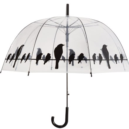 image of Birds on a Wire Clear Bubble Umbrella