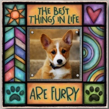 image of Best Things in Life are Furry Frame - Dog