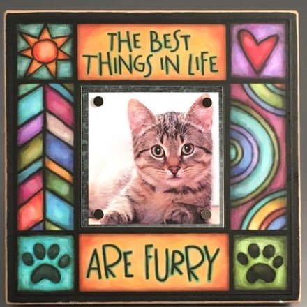 image of Best Things in Life are Furry Frame - Cat