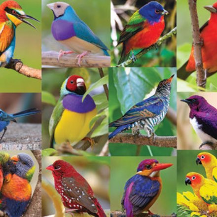 image of Birds of A Feather Puzzle