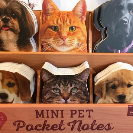 image of Cat & Dog Notepads