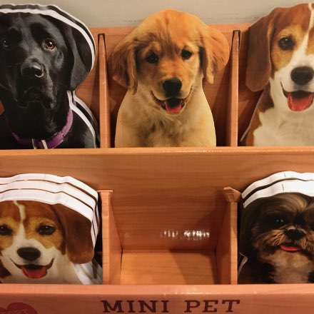 image of Dog Notepads