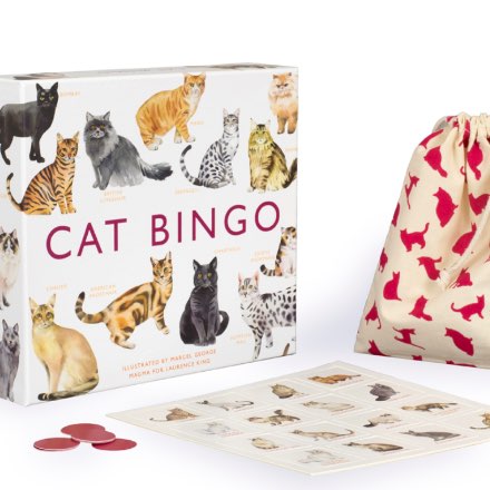 image of Cat Bingo