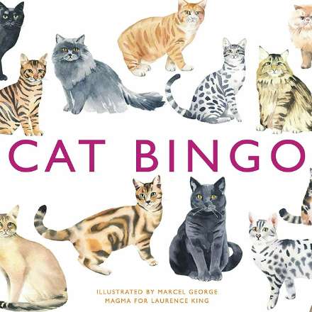 image of Cat Bingo