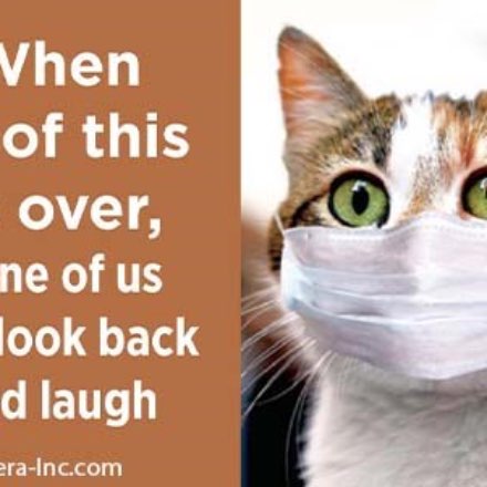 image of Cat in Face Mask Magnet
