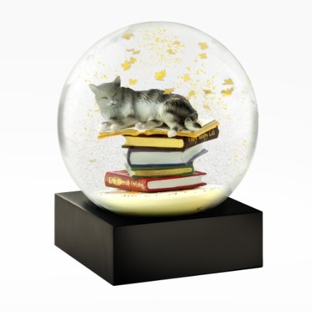 image of Cat on Books Snow Globe