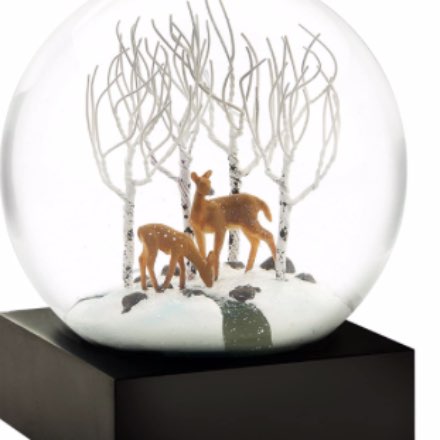 image of Cool Snow Globes
