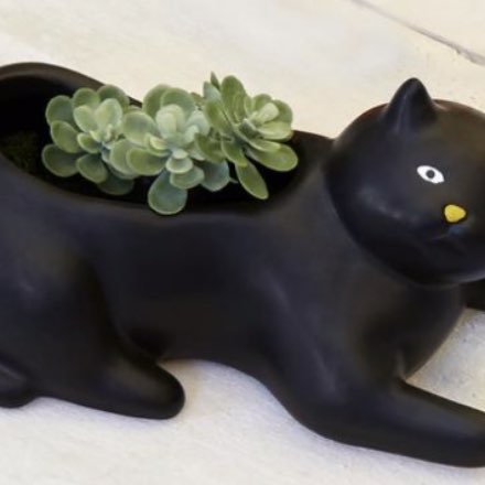 image of Cosmo the Black Cat Planter