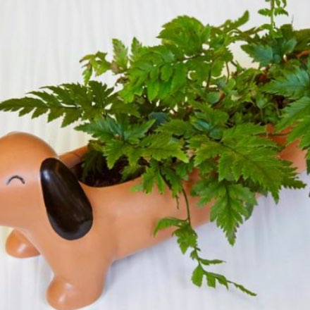 image of Daisy the Dachshund Planter