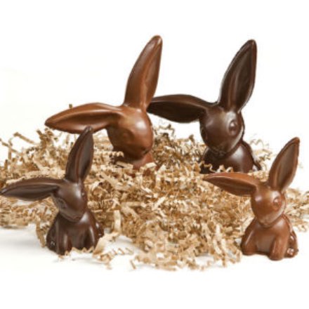 image of Gail Ambrosius Flop-Eared Bunnies