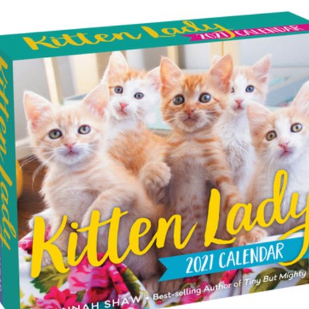 image of Kitten Ladies Page-a-Day