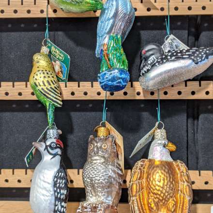 image of Old World Christmas Exotic Bird Ornaments