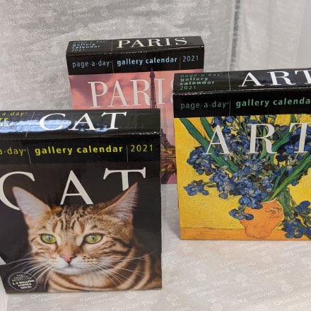 image of 2021 Page-a-Day Gallery Calendars 2021