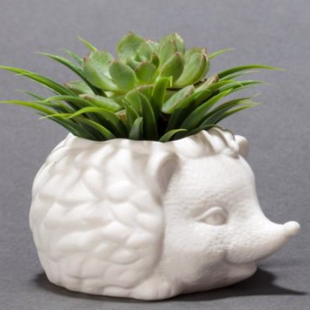 image of Prickles the Hedgehog Planter