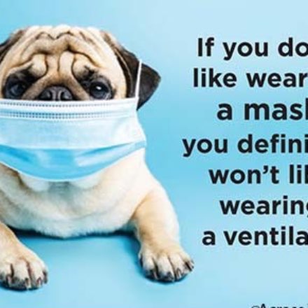image of Pug Wearing A Mask Magnet