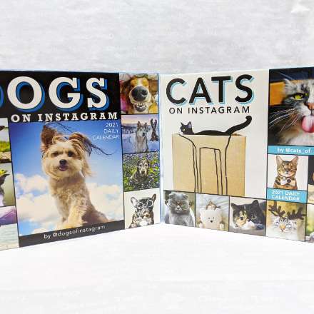 image of Dogs or Cats on Instagram Desk Calendar