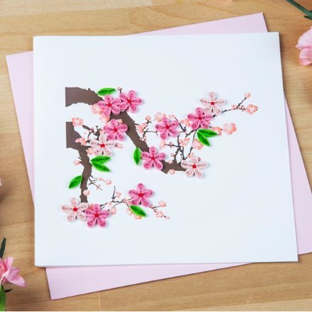 image of Quilled Cards