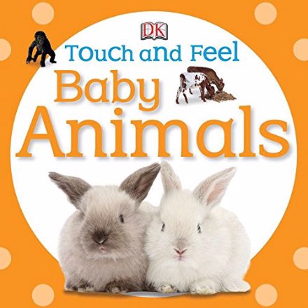 image of Touch and Feel Books