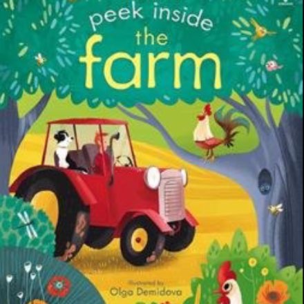 image of Usborne Peek Inside Books