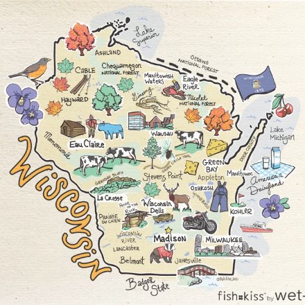 image of Wisconsin Swedish Dishcloth by Fish Kiss
