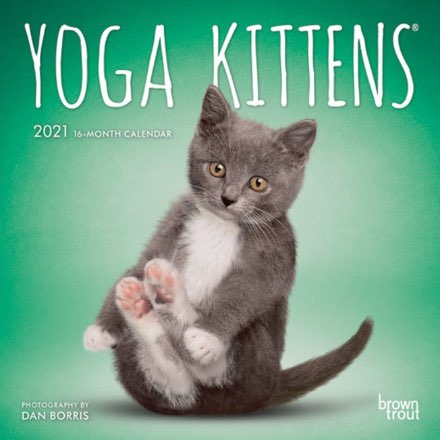 image of Yoga Kittens Mini Wall Calendar