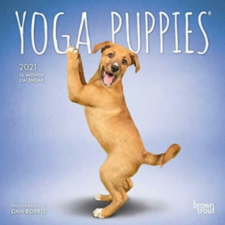 image of Yoga Puppies Mini Wall Calendar