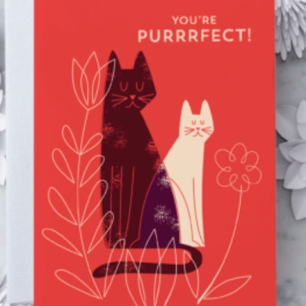 image of You're Purrrfect Card